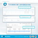 Niveles de vendedores