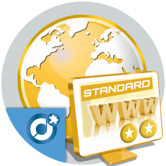 Standard Web Page